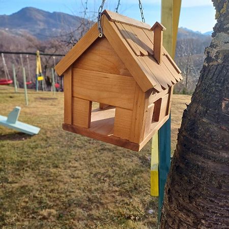 Pensiunea Tabacaru 佩斯泰拉 外观 照片